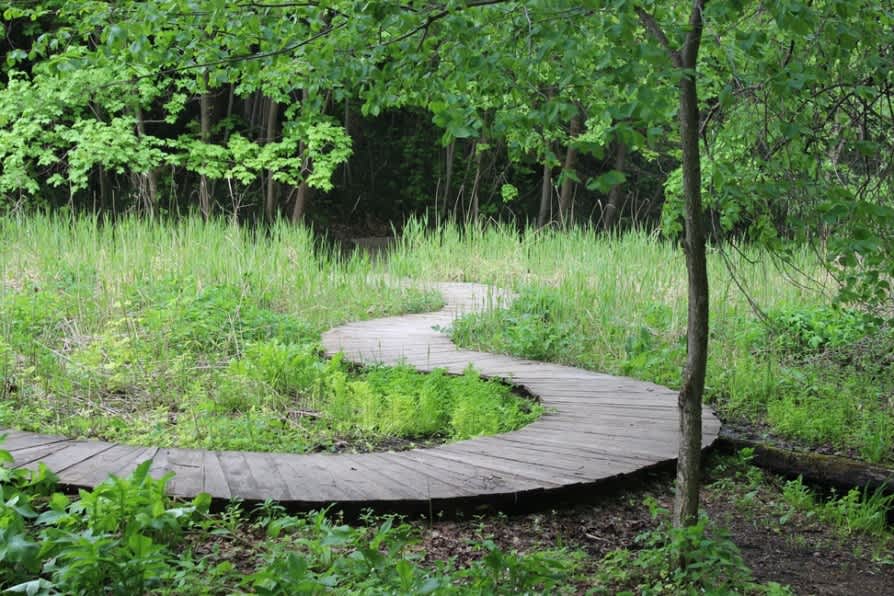 Марьина роща (боярыня Марья и атаманша Марья)